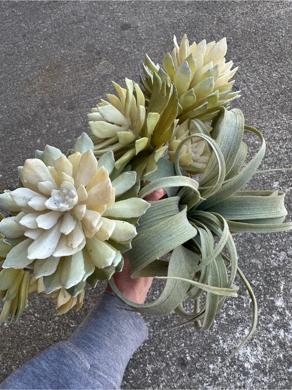 Artificial Succulent and Tillandsia Accent Stem - Green and Cream | Set of 3